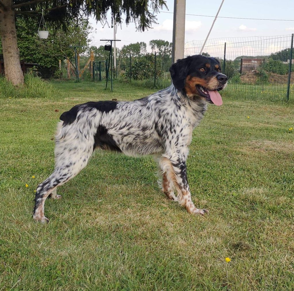 Polka De La Vallée D'oysel