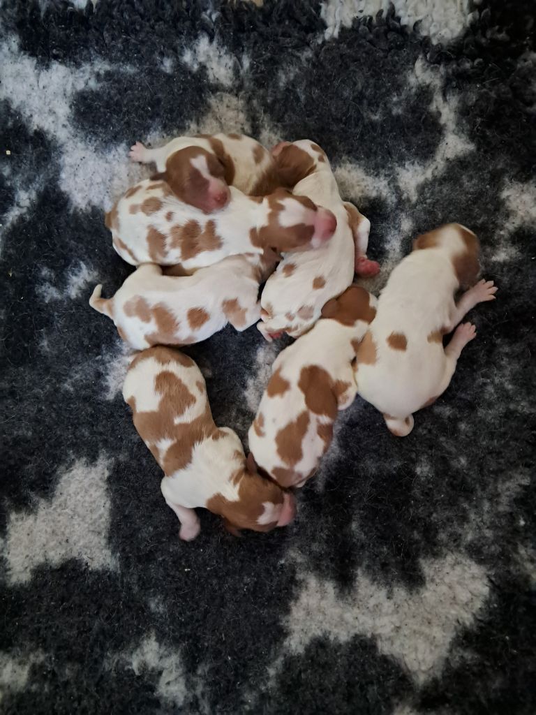 Naissance!